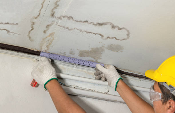Reliable Sewage Cleanup contractor in Gervais, OR by Hirex Water Damage